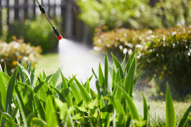 24/7 Emergency Mosquito Control experts in Cecil-Bishop, PA